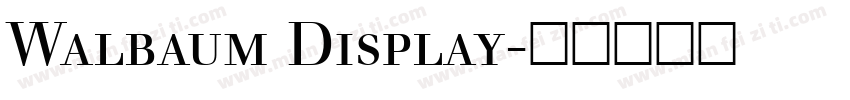 Walbaum Display字体转换
